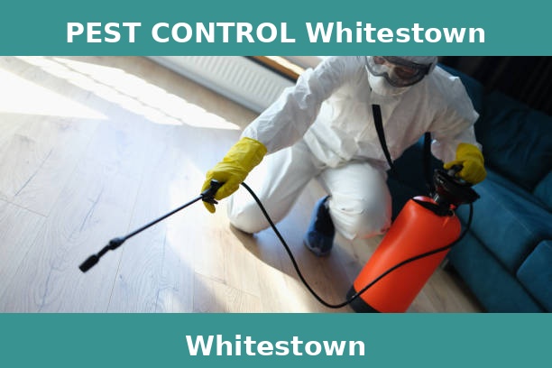 PEST CONTROL Whitestown